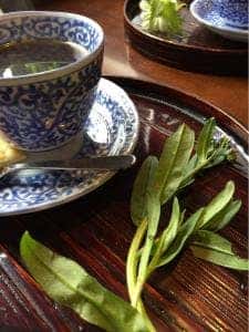 カフェ深山