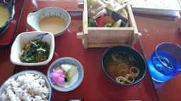 どんぐりと山猫の森