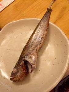 鶏籠