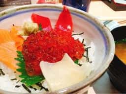 すし遊洛