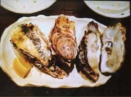 酒味処きの字