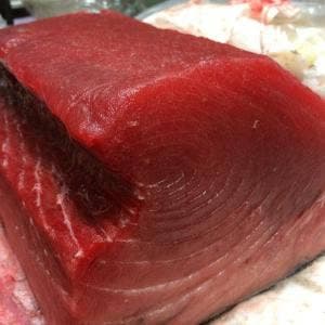 米っ子寿司龍巳