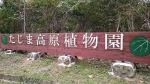 ツリーハウスレストラン 但馬高原植物園