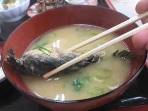 ひこ山食堂